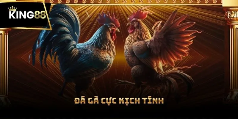 Đá gà cực kịch tính